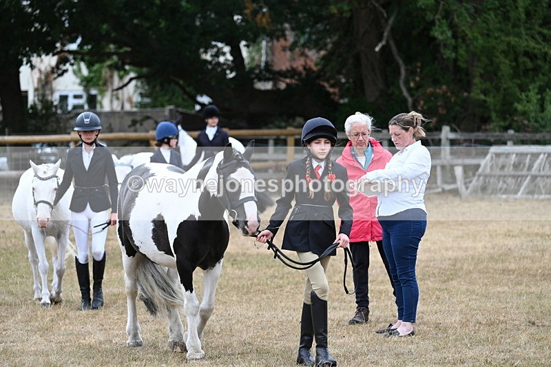 WJ7_8065 - Class 4 Prettiest Mare up to 14.2hh