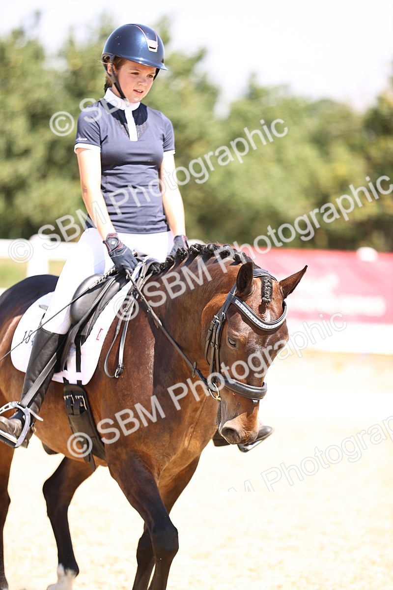 SBM_003932 - Intro 2