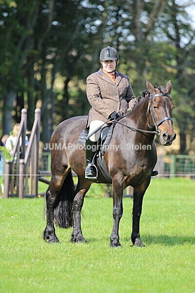 SIAL6451 - Ring 1 & 3