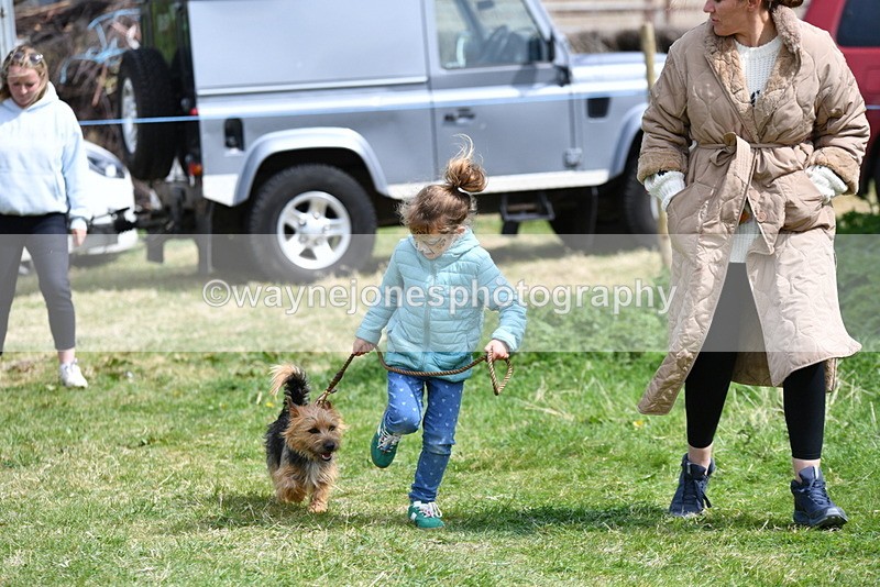 WJ5_0453 - Class 7 Best Terrier