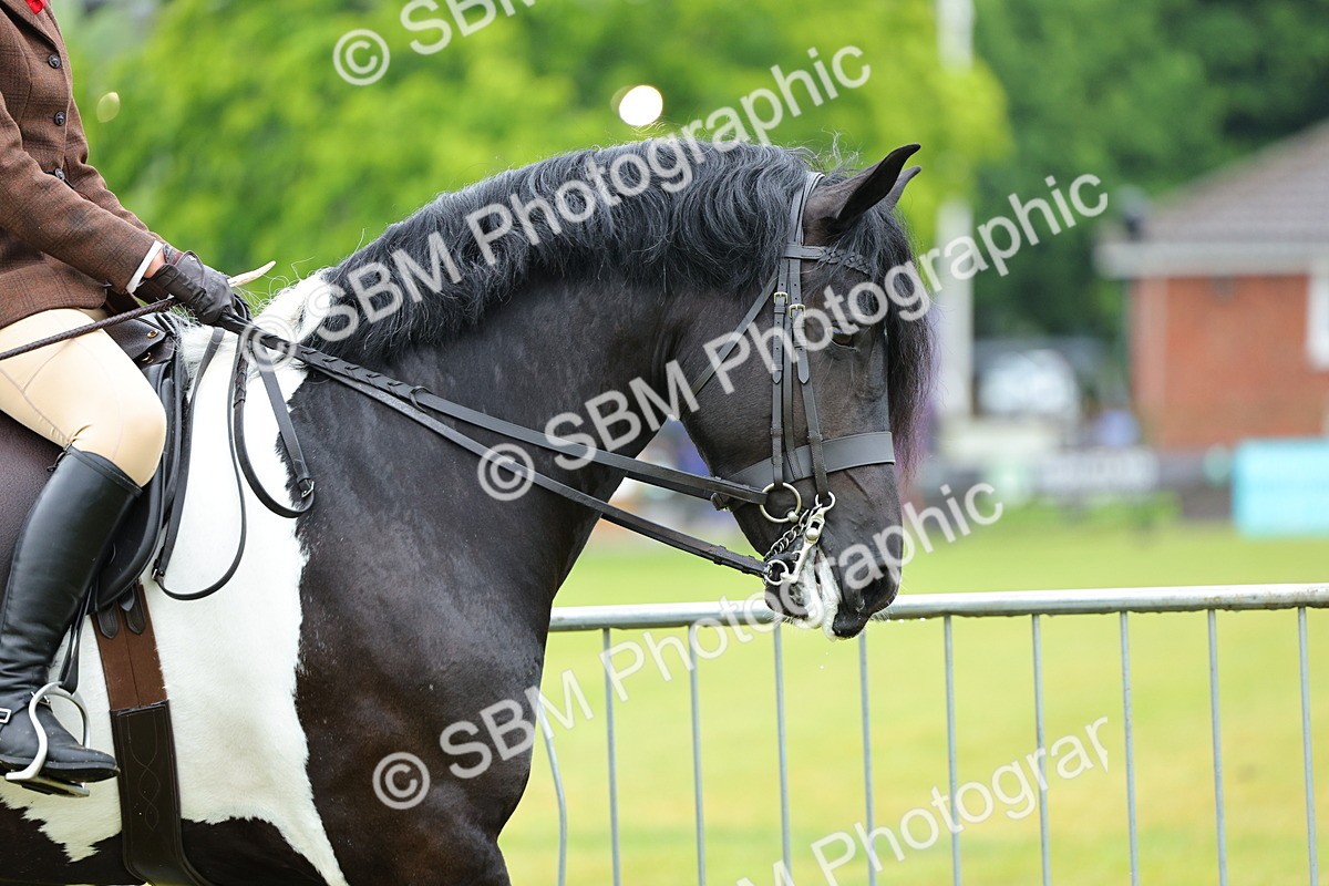 SBM_00855 - Class 1-4 - BSPA Ridden