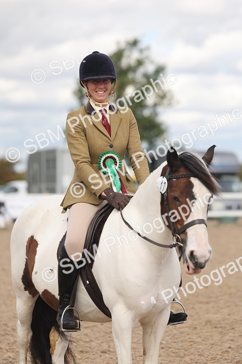 SBM_14702 - Class 307 - Ridden Coloured Pony