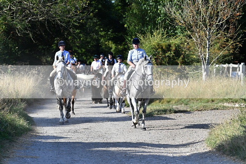 WJ5_4887 - Walk out with the hounds