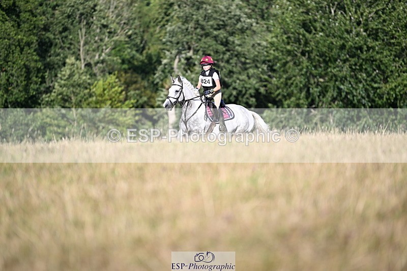 250803A-181351-18633 - R-824-Poppy.Wilkinson-DAISY.DER.BLUME