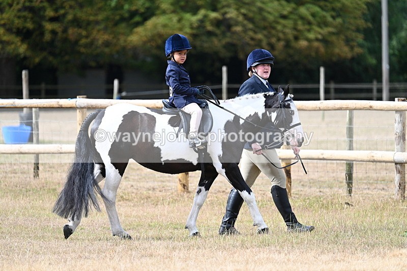 WJ7_6411 - Class 1 Lead Rein Pony
