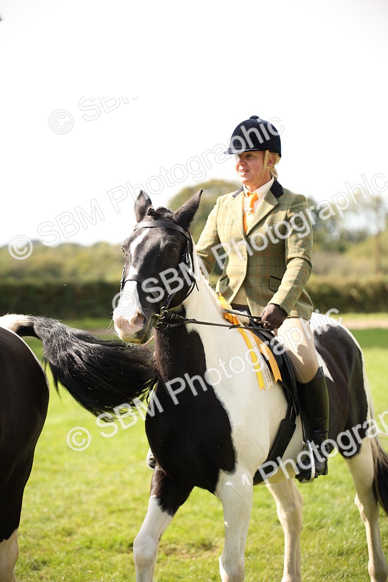 SBM_70158 - S65 - Piebald & Skewbald Horse Ridden
