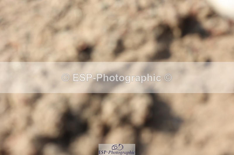 250621-174633-10166 - Cls 42+43 - FEI Inter II and GP