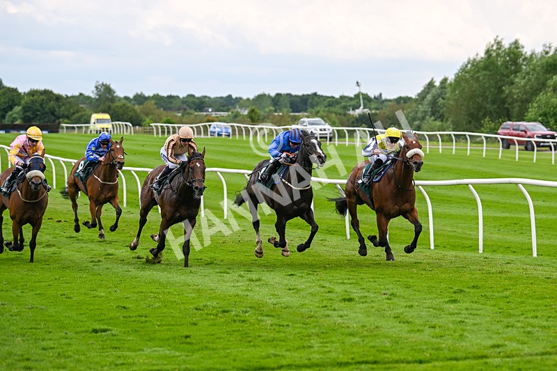 180624-Race 4-Animate-0431 - Race 4