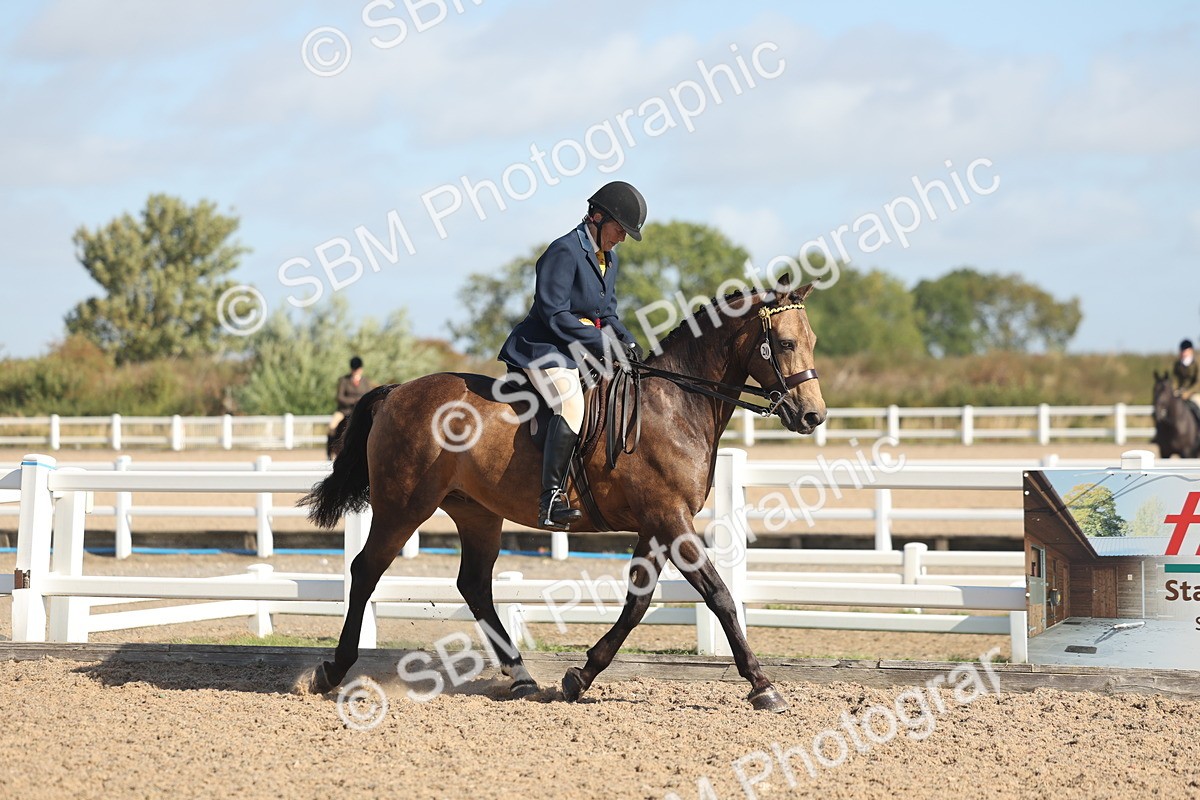 SBM_22352 - Class 803 - Ridden Combination 65+