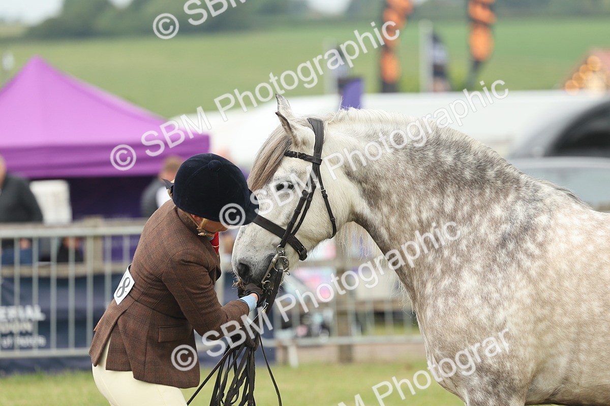 SBM_08984 - Class 78-80 - Ridden M&M Non Welsh Ponies
