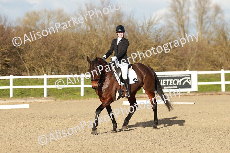 20260314-6242 - CT7 - Elementary 2