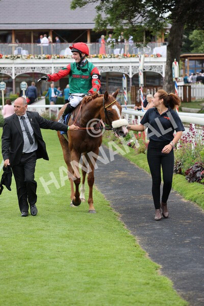 yr24072021r7-69 - Race 7 5.35pm The Sporting Life Fast Results Stakes