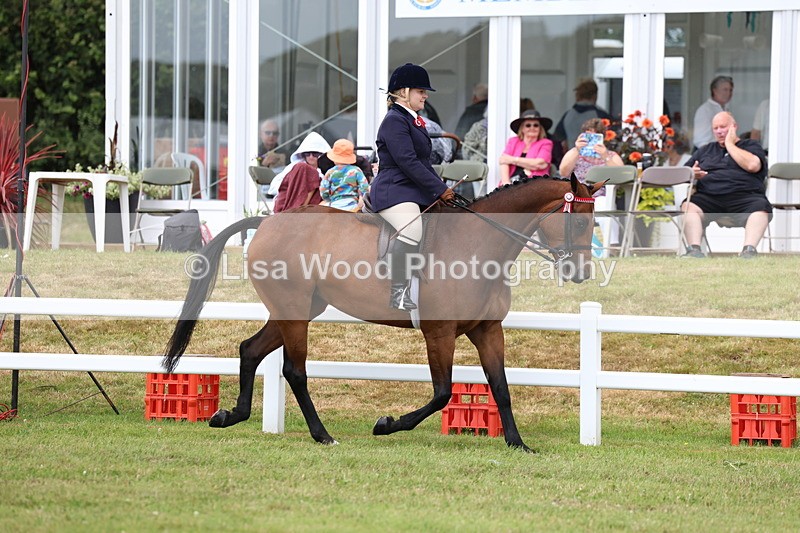 3E7A0822 - Class 8: Open Riding Horse/Hack