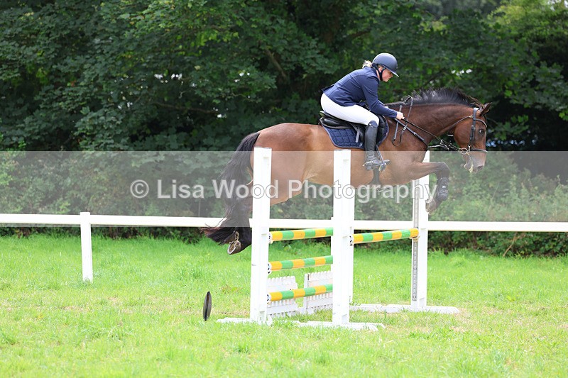 3E7A7395 - Class 5: Senior British Novice/90cm open