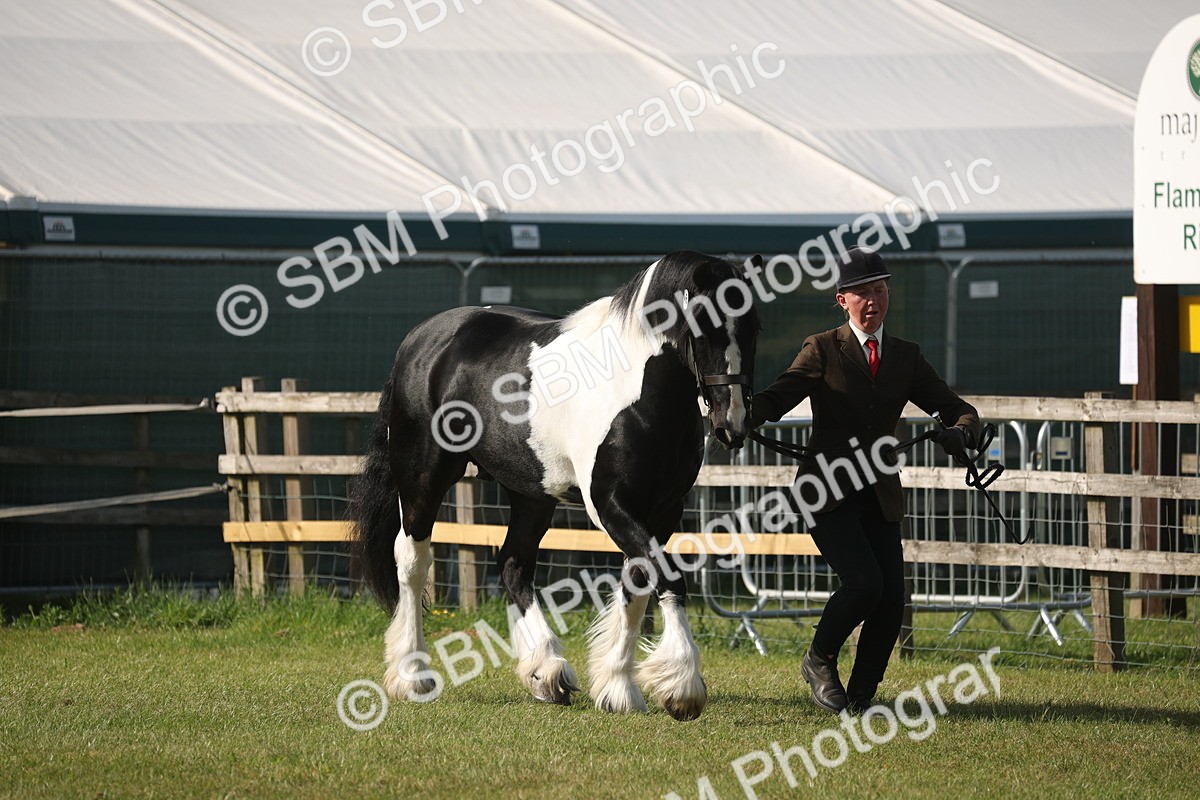 SBM_10320 - Class 33-38 - SSADL RIHS Qualifiers