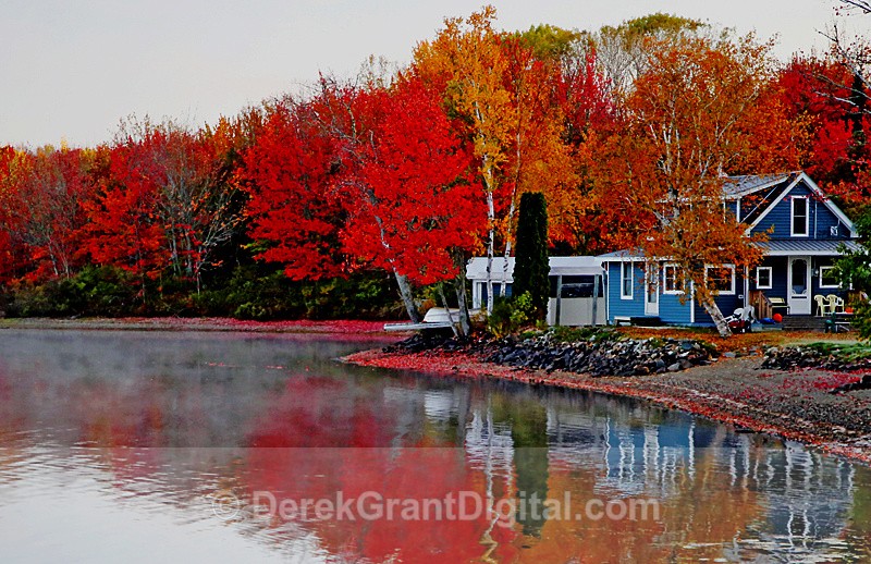 New Brunswick Autumn Foliage Fall Leaves Canada - Autumn Foliage