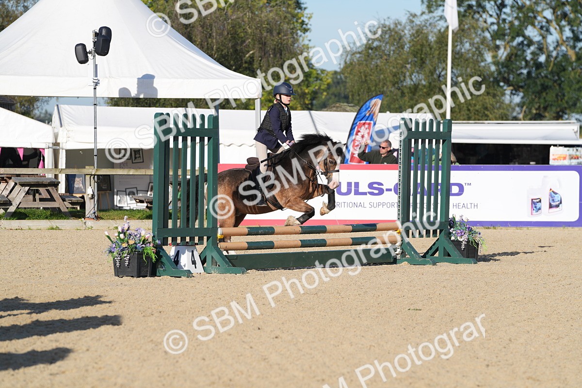 SBM_34391 - J62 - Clear Round 50cm