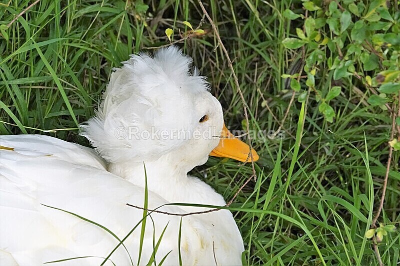 DSC07759 - SEPT 2020 STAYCATION