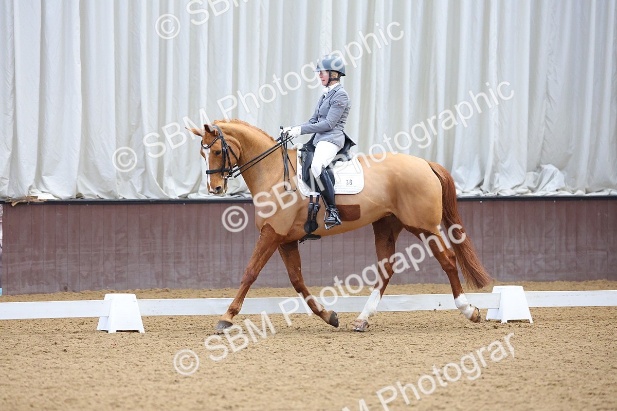 1I0A9235 - Class 11 - Medium 5