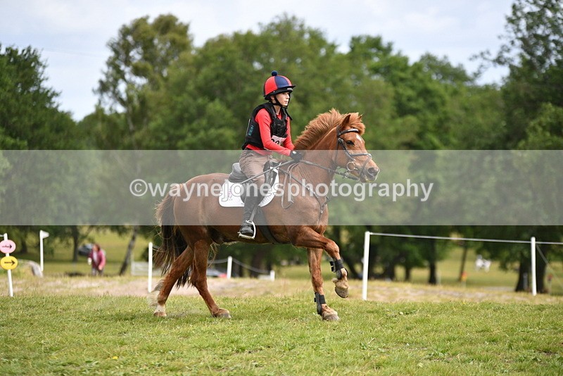 WJ5_6543 - Time 10:50 to 11:00