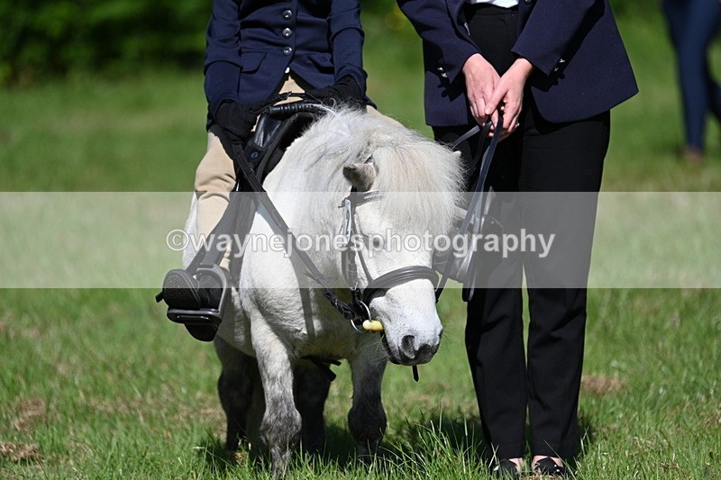 WJ7_0406 - Class 8 First Rally Pony