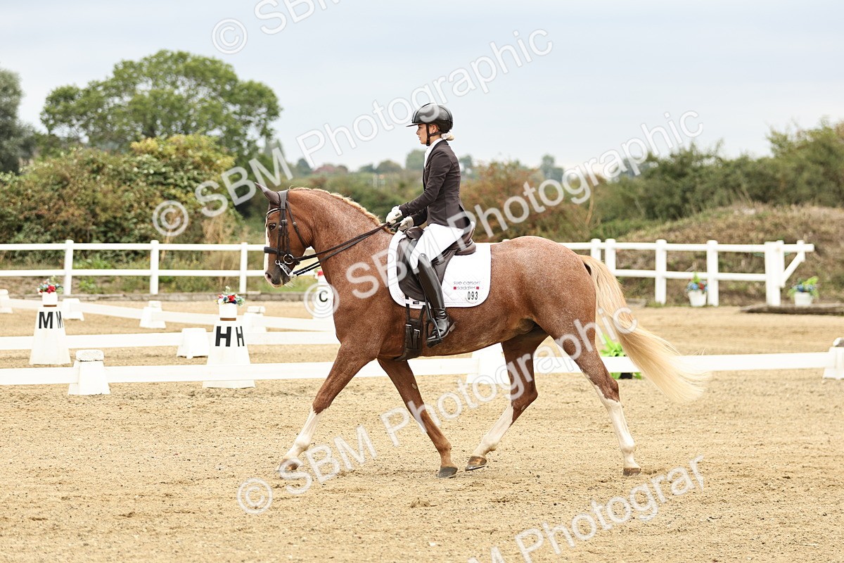 SBM_006538 - Class 21 - Medium 5 Bronze - 9.08-9.48