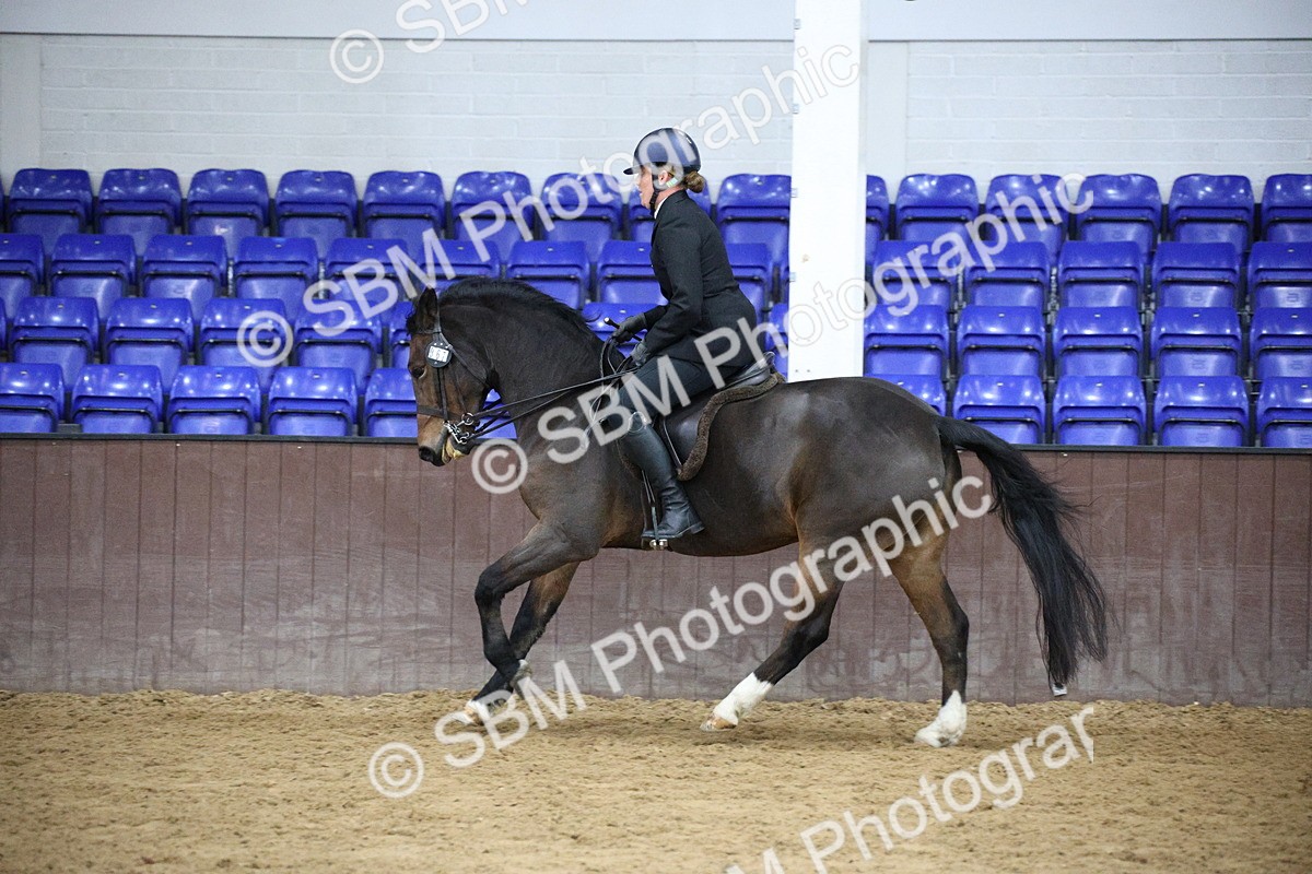 5K7A6097 - Class 48 - Ridden Mare