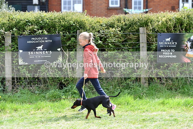 WJ5_0617 - Class 7 Best Terrier