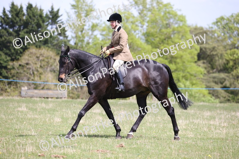 20250427-4113 - Class 34 - Best Riding Horse Over 14.2hh