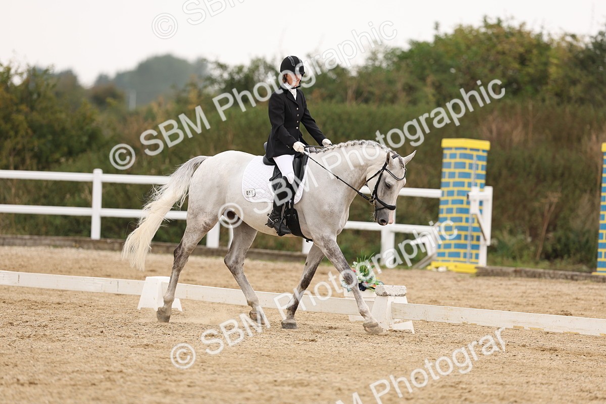 SBM_01775 - Class 9 - Novice 27 Champs