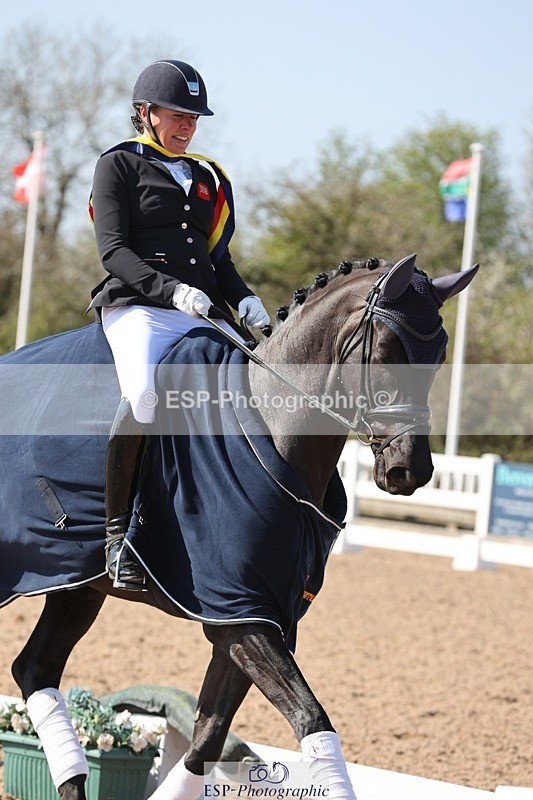 250405-111233-09616 - Cls 23 Young Horse 6 YO Presentations