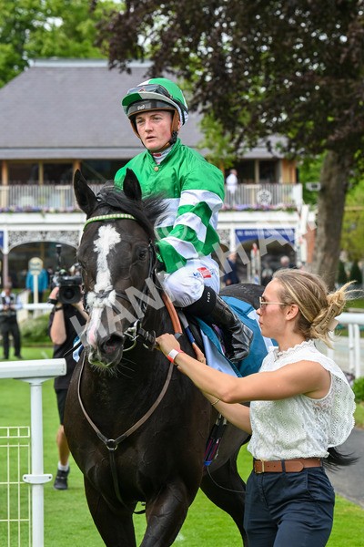 310525-Race 2-Tadej-9069 - Race 2 2.05pm Irish Thoroughbred Marketing EBF Restricted Novice Stakes