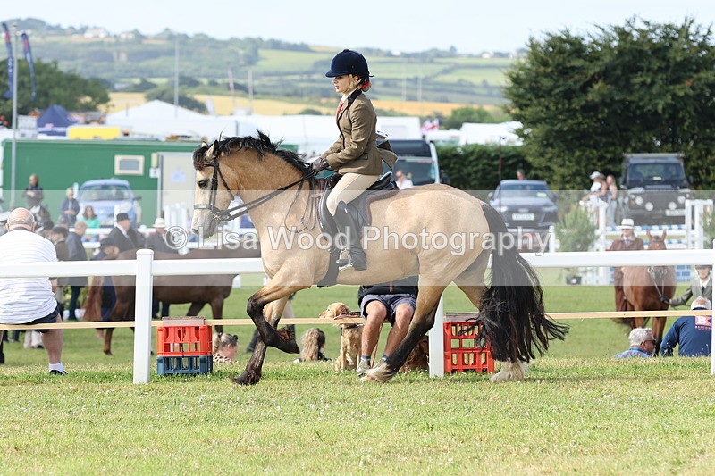 JPP_0816 - Class 16: Cornish Combination Young Rider