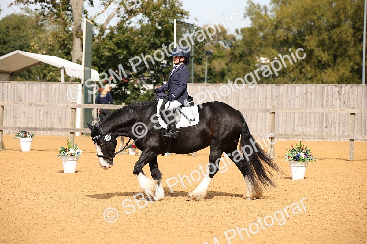 SBM_21734 - D5 - Small Tour Championship - Intro C