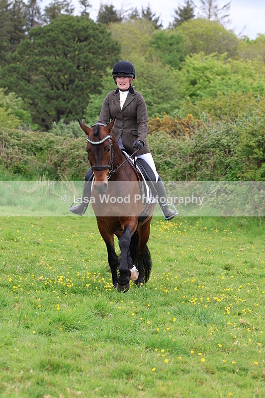 3E7A1795 - Class 9: Riding Club Horse/Pony