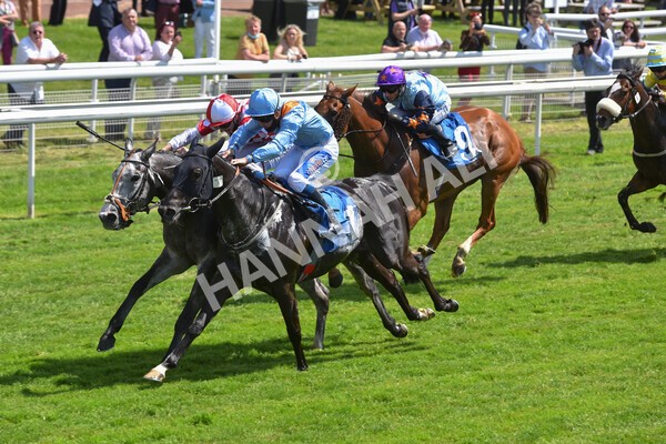 yr11062021r2-51 - Race 2 2.20pm Churchill Tyres Stakes