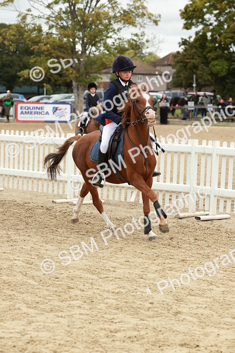 SBM_67188 - J13 - Junior Pony 60cm Championship
