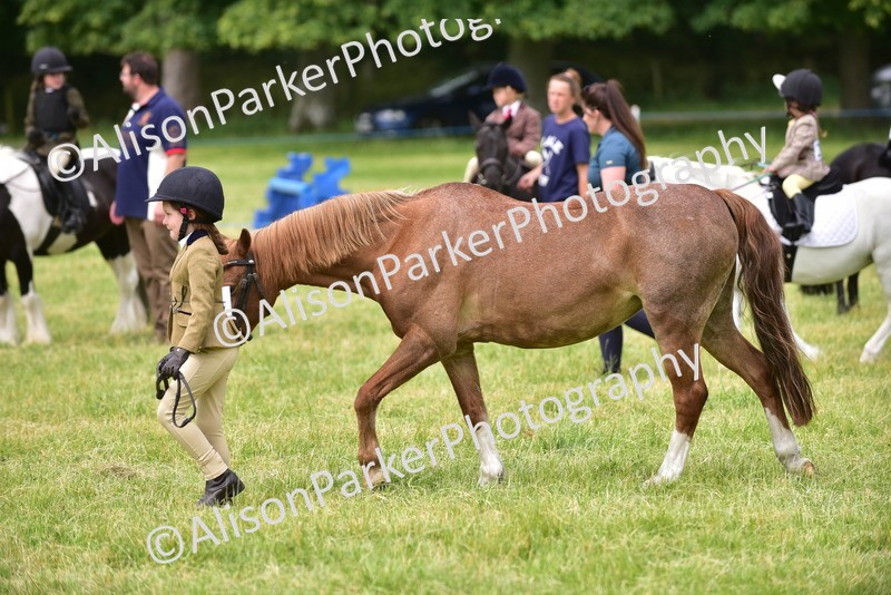 20260614-3677 - Class 15 - Prettiest Mare