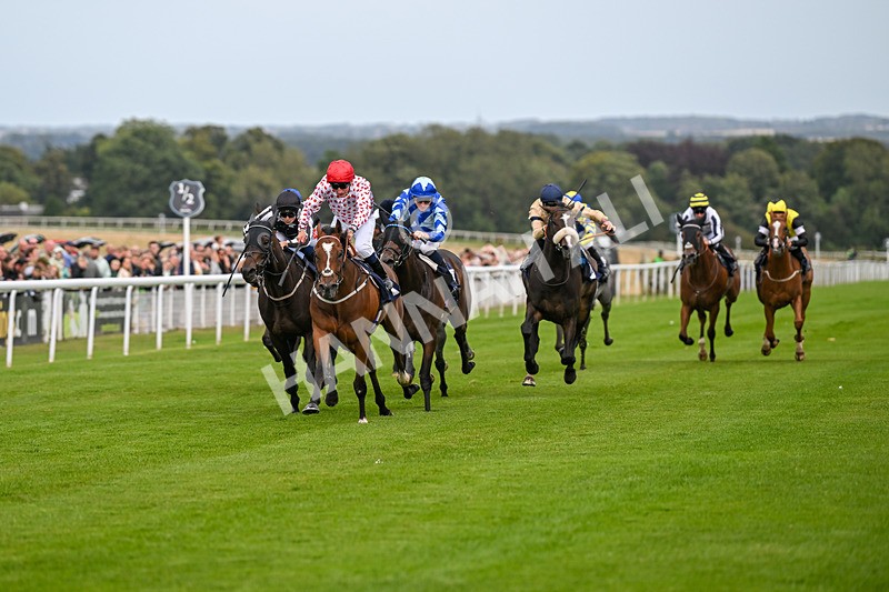 250824-Race 6-Lerwick-3791 - Race 6