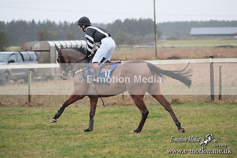 PtP 260125 228 - Cocklebarrow Point-to-Point racing with the Heythrop Hunt 26/01/25