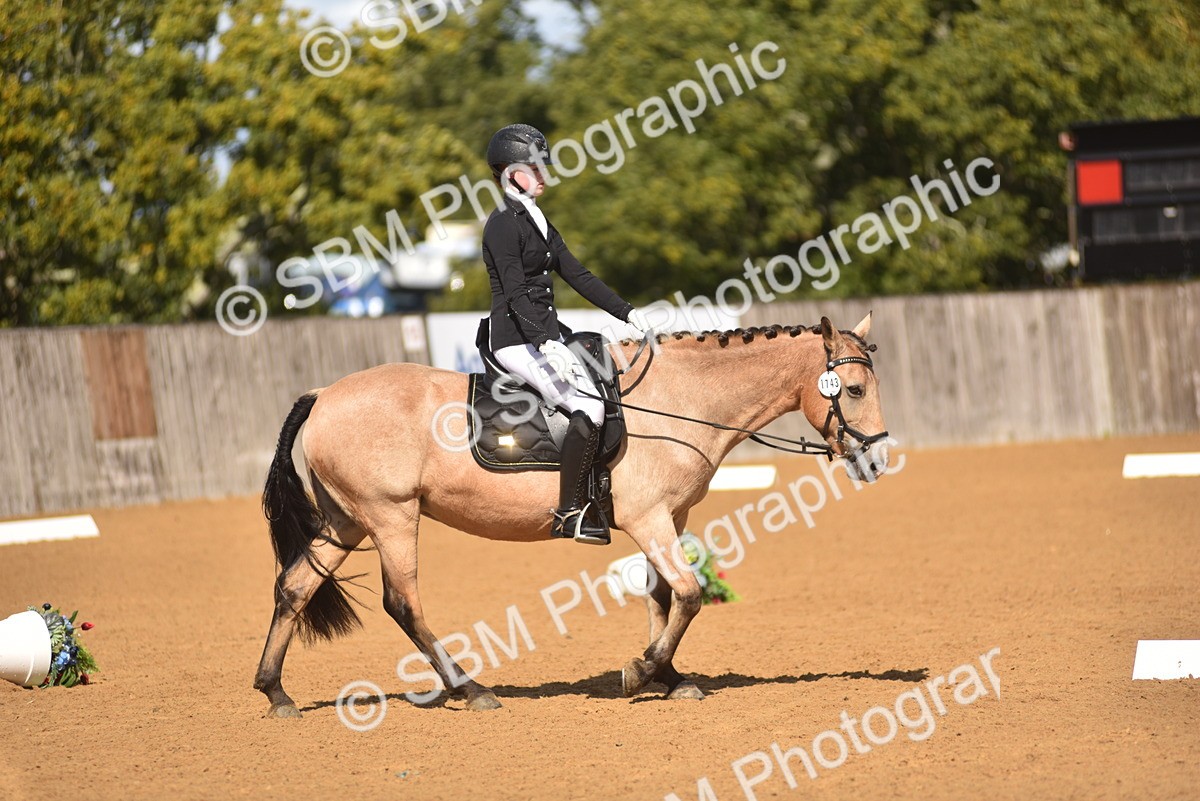SBM_19944 - D4 - Small Tour Championship Intro 4