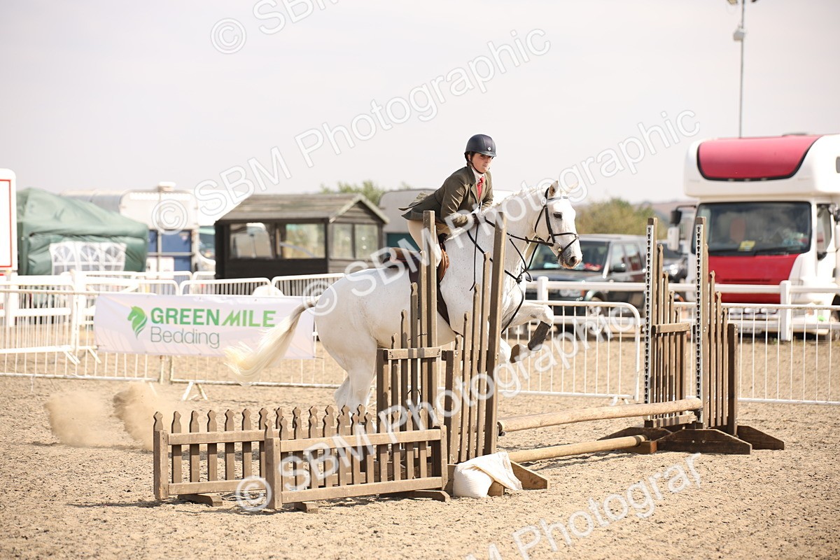 SBM_14162 - Class 407a - Working Veteran 60cm (15-19