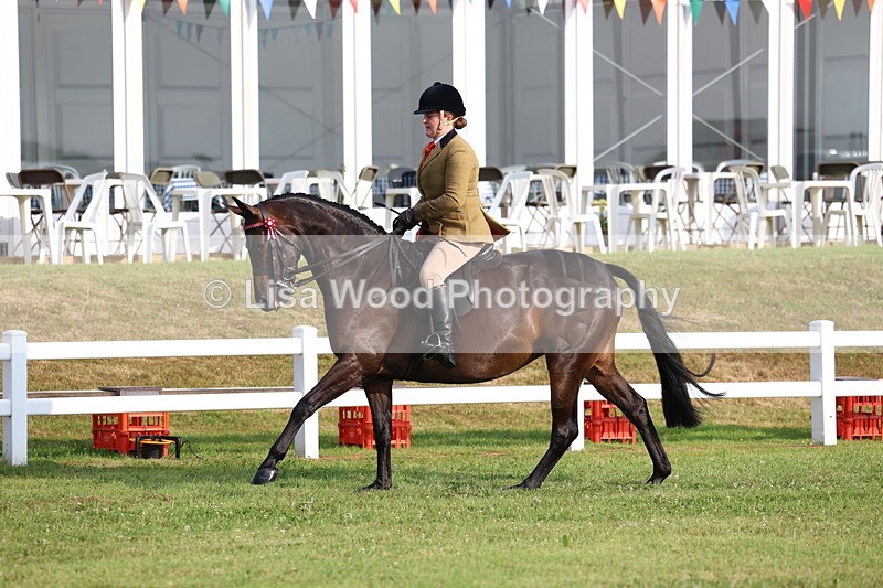 3E7A7731 - Class 1: Rising Star Small Hack/Riding Horses
