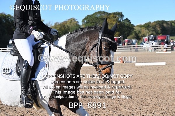 BPP_8891 - LONG ARENA
