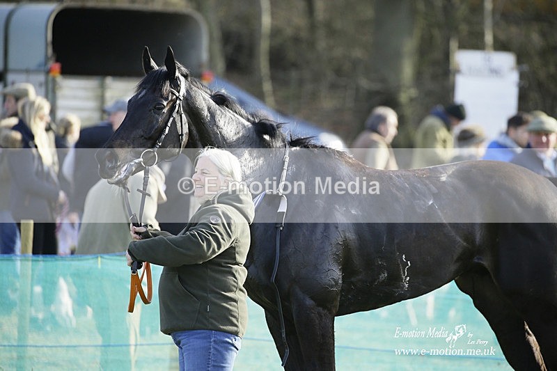 PtP 260222 769 - Kingston Blount Racing Club Point-to-Point 26/02/22