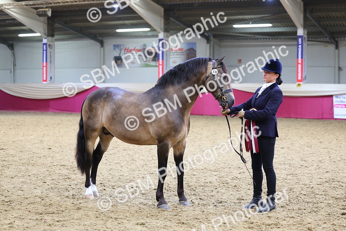 SBM_23025 - Class 903 - Supreme Final - IH Pre Vet