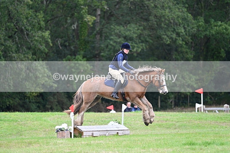 WJ7_7731 - 40cm Time 10:49 to 11:18