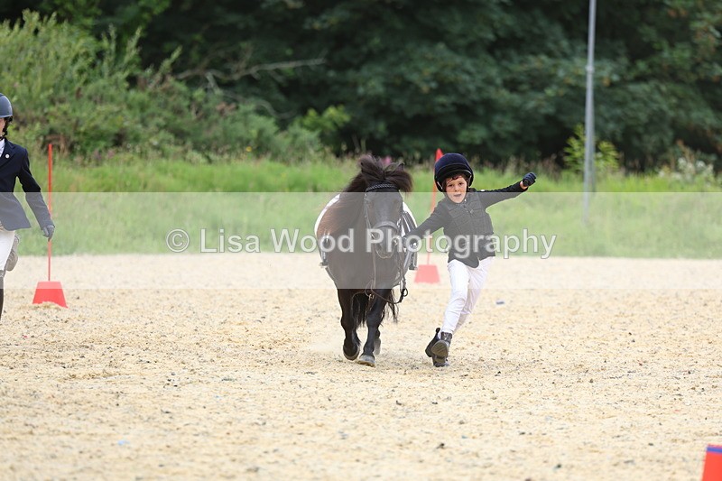 3E7A9530 - Walk trot run