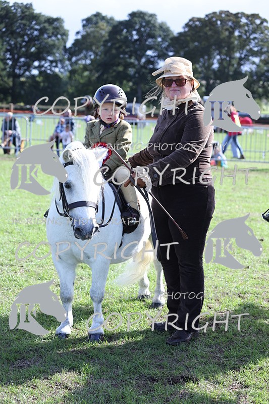 APP_3940 - Class 13 Lead rein