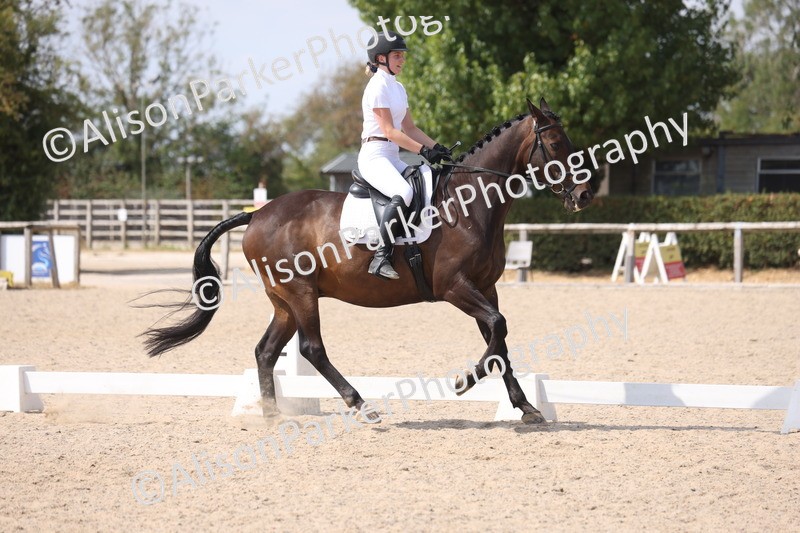 20260815-1037 - Class 6 - Novice 2